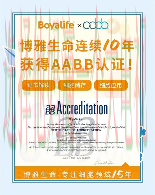 博雅登录链接入口最新版